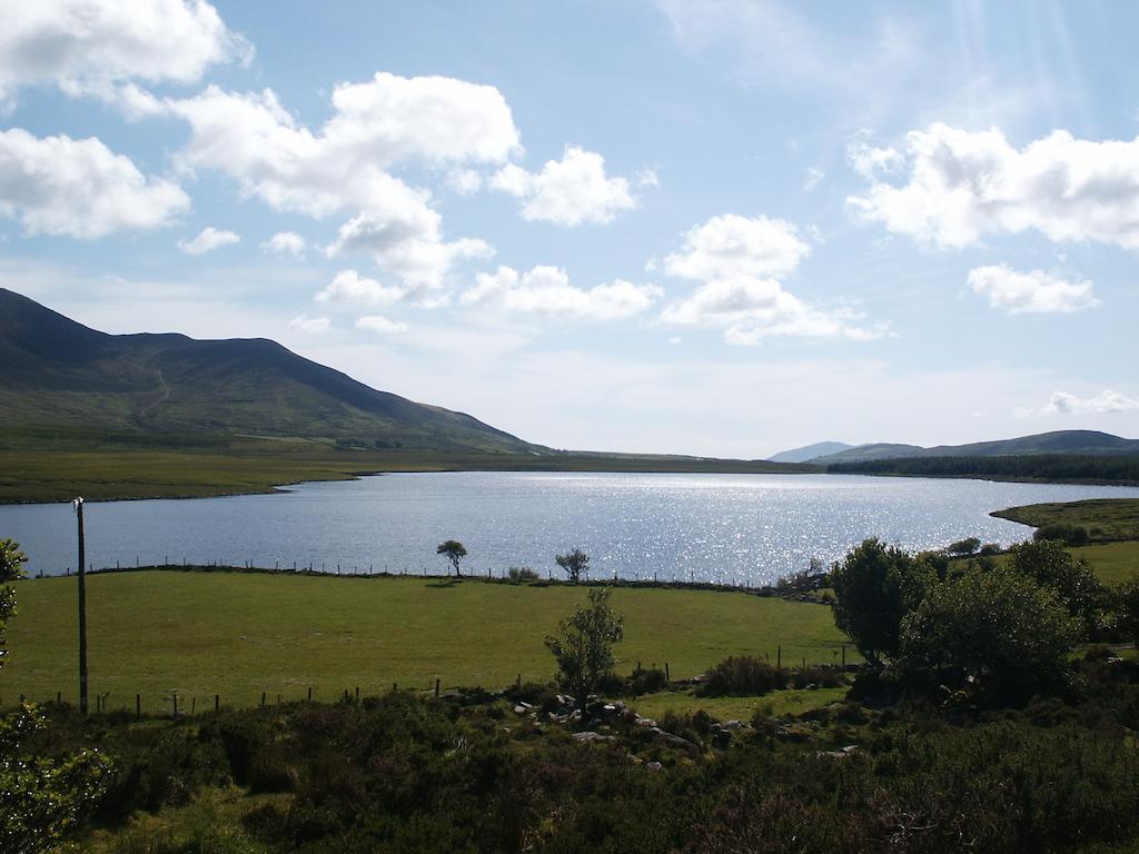 Killeenleagh Bridge Bru Na Dromoda/Dromid Hostel חדר תמונה